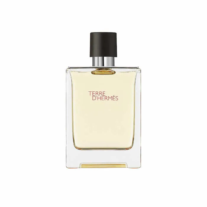 HERMÈS Terre d'Hermès Eau de Toilette Spray 100 ml