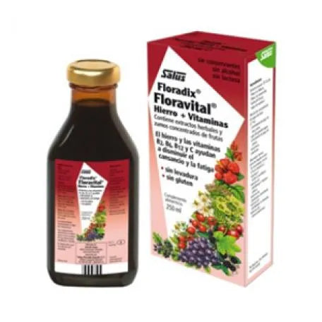 Floradix Floravital 250ml Flasche
