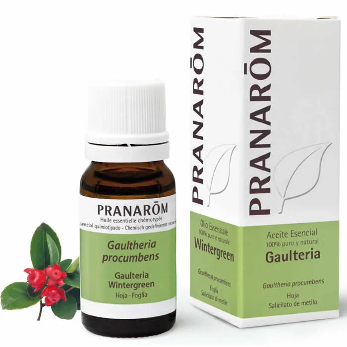 Pranarôm Wintergreen Leaf ätherisches Öl 10ml Flasche