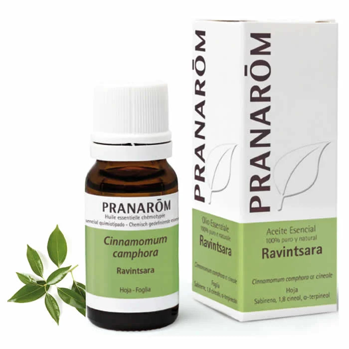 PRANARÔM Ravintsara ätherisches Öl 10ml