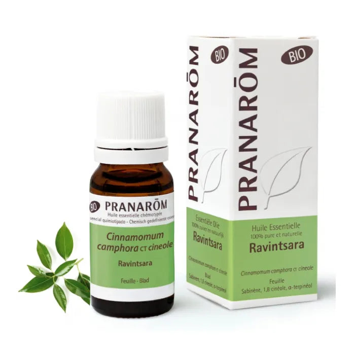 Pranarôm Ravintsara ätherisches Öl 10ml