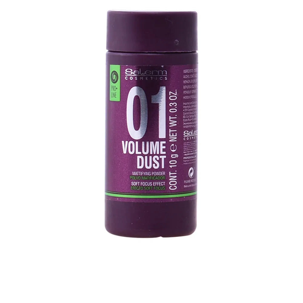 Salerm Cosmetics Volume Dust Mattifying Powder 10g