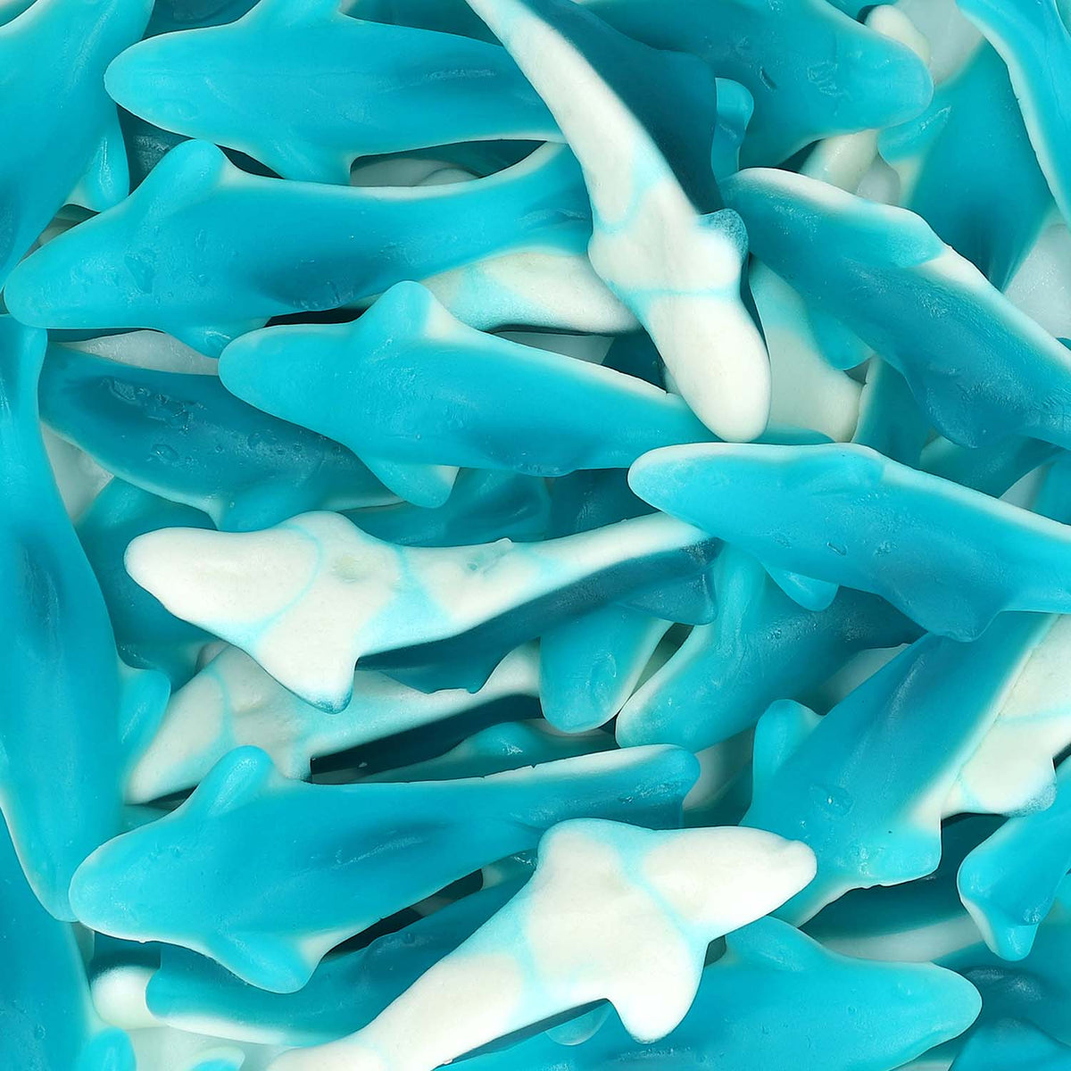 Trolli Haifische Fruchtgummi 150 Stück 1200g Schweiz – Detailansicht