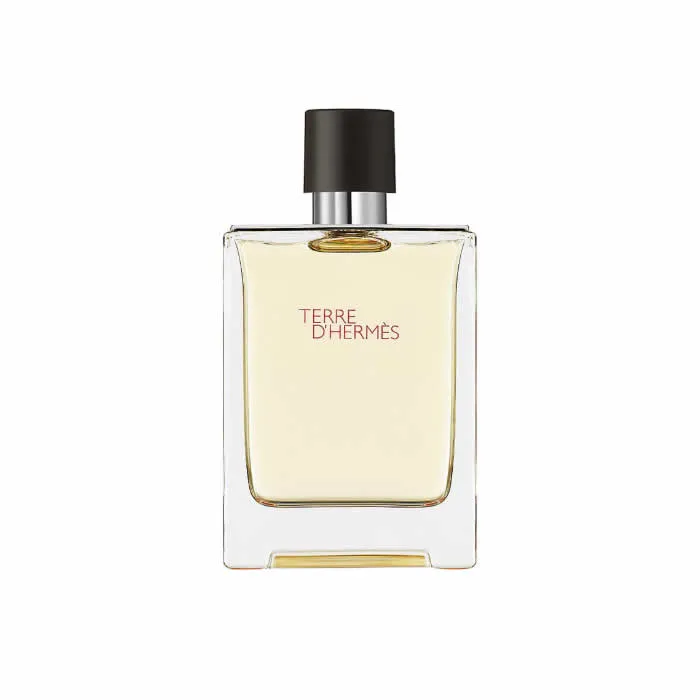 HERMÈS Terre D'Hermes Eau De Toilette Spray 100ml Flakon kaufen Schweiz