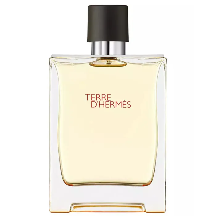 Terre D'Hermès Eau De Toilette Spray 200ml von HERMÈS kaufen Schweiz
