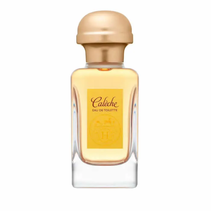 Hermès Calèche Eau De Toilette Spray 100ml Flasche kaufen Schweiz
