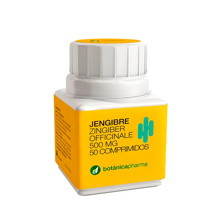 Botánicapharma Ingwer 500mg 50 Tabletten Packung kaufen Schweiz