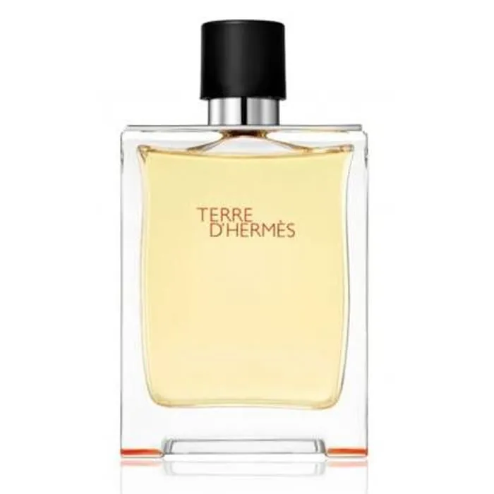 Flakon Terre D'Hermes Eau De Toilette Spray 50ml von HERMÈS kaufen Schweiz