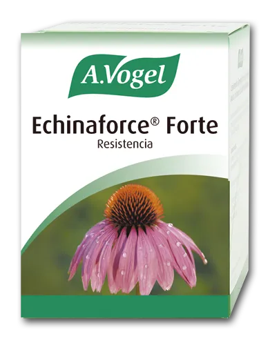 A. VOGEL Vogel Echinaforce Forte 30 Comp Produktbild kaufen Schweiz